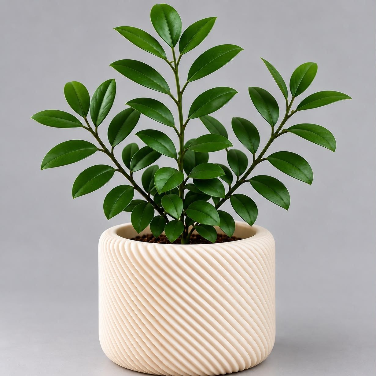 Vaso 1